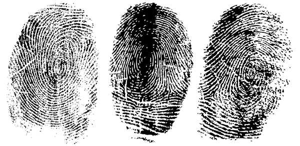 Fingerprints600w